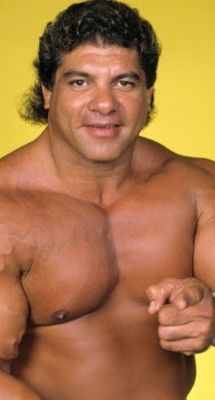 Don Muraco Blank Meme Template