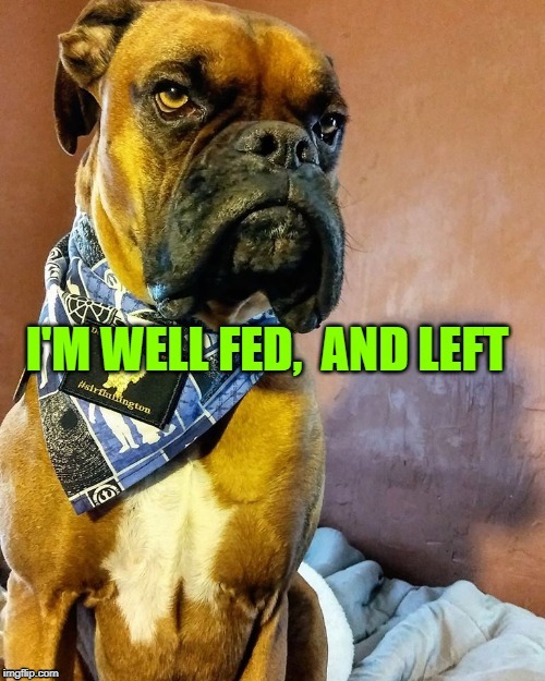 LOUD_VOICE | image tagged in loud_voice | made w/ Imgflip meme maker