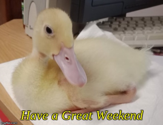 Have a Great Weekend | Have a Great Weekend | image tagged in memes,ducklings,weekend | made w/ Imgflip meme maker