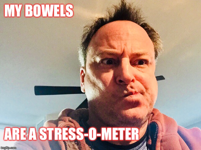 Curiously, our bowels know best, don’t they? | MY BOWELS; ARE A STRESS-O-METER | image tagged in stress-o-meter,level of stress,bowels,nervousness,anxiety,diarrhea | made w/ Imgflip meme maker