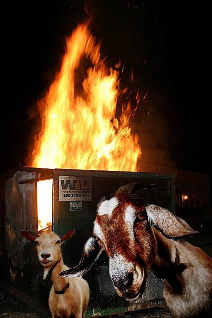 Dumpster Fire Goats Blank Meme Template