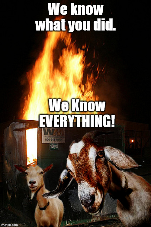 Dumpster Fire Goats | We know what you did. We Know EVERYTHING! | image tagged in dumpster fire goats | made w/ Imgflip meme maker