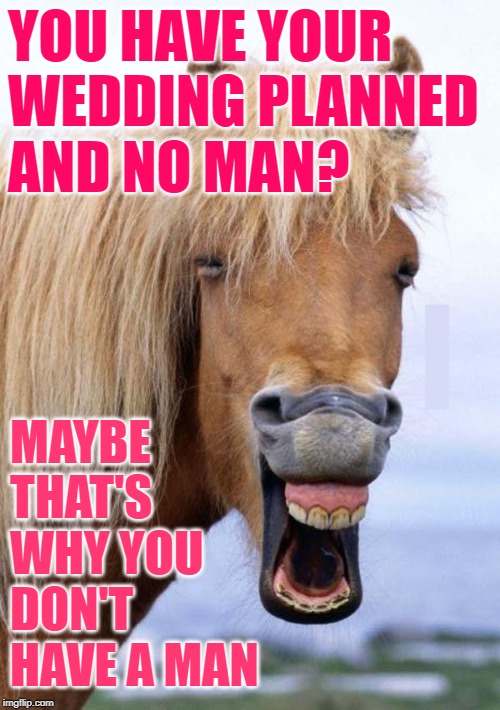 Wedding Horse Sense | YOU HAVE YOUR
WEDDING PLANNED
AND NO MAN? MAYBE THAT'S WHY YOU DON'T HAVE A MAN | image tagged in horse face,weddings,funny memes,relationships,common sense,female logic | made w/ Imgflip meme maker