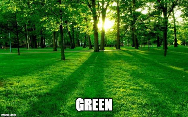 Grass and trees | GREEN | image tagged in grass and trees | made w/ Imgflip meme maker