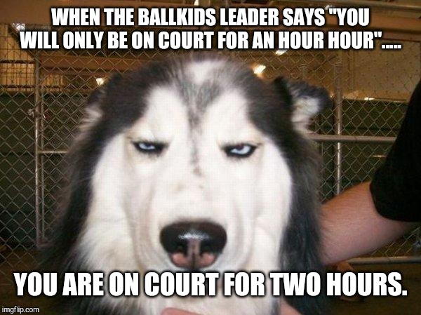 seriously_husky | WHEN THE BALLKIDS LEADER SAYS "YOU WILL ONLY BE ON COURT FOR AN HOUR HOUR"..... YOU ARE ON COURT FOR TWO HOURS. | image tagged in seriously_husky | made w/ Imgflip meme maker