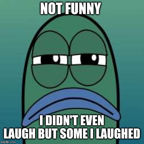 not funny | NOT FUNNY I DIDN'T EVEN LAUGH BUT SOME I LAUGHED | image tagged in not funny | made w/ Imgflip meme maker
