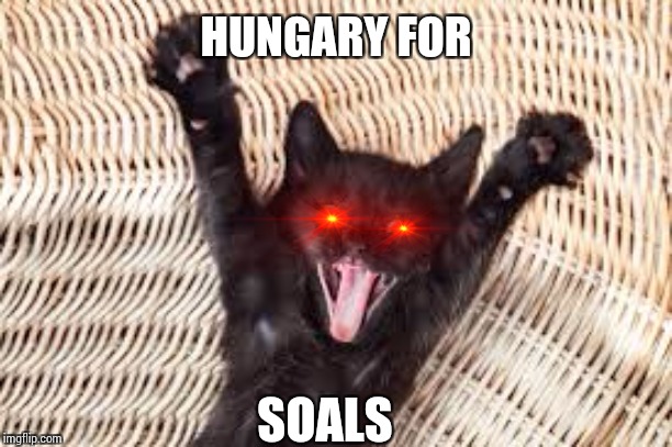 Arms out | HUNGARY FOR SOALS | image tagged in arms out | made w/ Imgflip meme maker