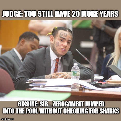 Tekashi 6ix9ine testifies | JUDGE: YOU STILL HAVE 20 MORE YEARS; 6IX9INE: SIR... ZEROGAMBIT JUMPED INTO THE POOL WITHOUT CHECKING FOR SHARKS | image tagged in tekashi 6ix9ine testifies | made w/ Imgflip meme maker