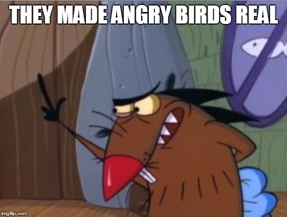 Angry Beaver | THEY MADE ANGRY BIRDS REAL | image tagged in angry beaver | made w/ Imgflip meme maker