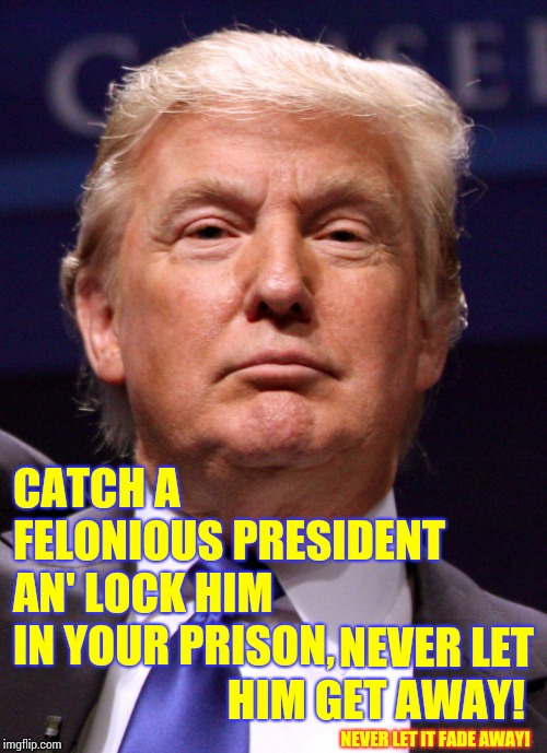 The Definition Of Criminal Behavior | CATCH A FELONIOUS PRESIDENT AN' LOCK HIM IN YOUR PRISON, NEVER LET HIM GET AWAY! NEVER LET IT FADE AWAY! | image tagged in trump face,memes,trump unfit unqualified dangerous,liar in chief,lock him up,stupid criminals | made w/ Imgflip meme maker