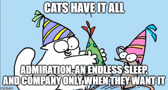 Cat Have it all | CATS HAVE IT ALL; ADMIRATION, AN ENDLESS SLEEP, AND COMPANY ONLY WHEN THEY WANT IT | image tagged in quotes | made w/ Imgflip meme maker