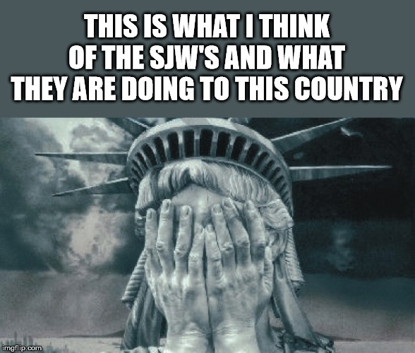 Statue of Liberty Crying | THIS IS WHAT I THINK OF THE SJW'S AND WHAT THEY ARE DOING TO THIS COUNTRY | image tagged in statue of liberty crying | made w/ Imgflip meme maker