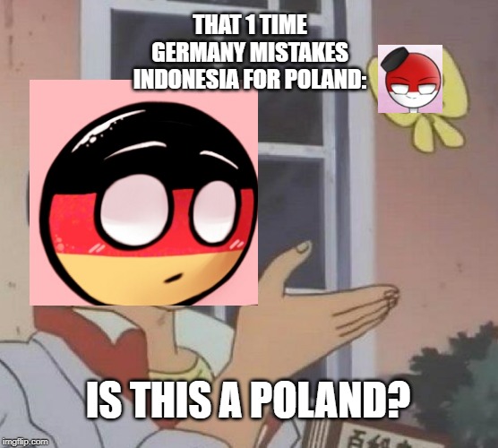 Is This A Pigeon Meme | THAT 1 TIME GERMANY MISTAKES INDONESIA FOR POLAND:; IS THIS A POLAND? | image tagged in memes,is this a pigeon | made w/ Imgflip meme maker