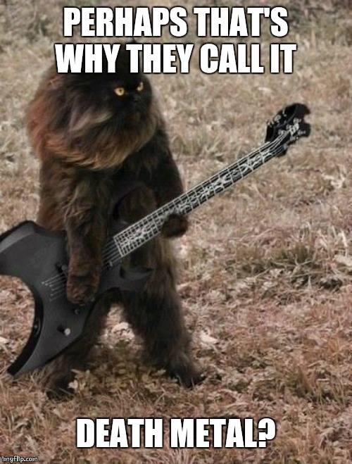 Death Metal Cat | PERHAPS THAT'S WHY THEY CALL IT DEATH METAL? | image tagged in death metal cat | made w/ Imgflip meme maker