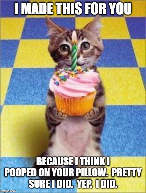 Happy Birthday Cat | I MADE THIS FOR YOU; BECAUSE I THINK I POOPED ON YOUR PILLOW.  PRETTY SURE I DID.  YEP.  I DID. | image tagged in happy birthday cat | made w/ Imgflip meme maker