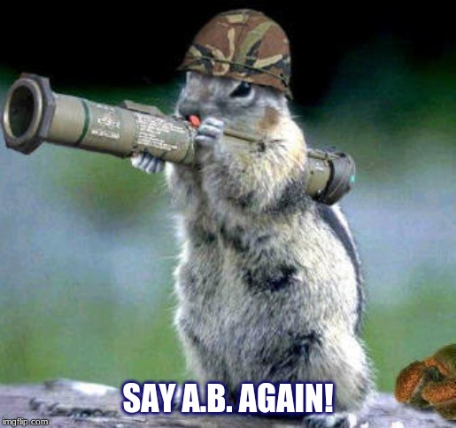 Bazooka Squirrel Meme | SAY A.B. AGAIN! | image tagged in memes,bazooka squirrel | made w/ Imgflip meme maker