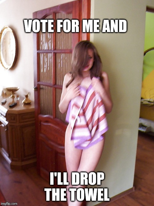 VOTE FOR ME AND I'LL DROP THE TOWEL | image tagged in towel girl 2 | made w/ Imgflip meme maker