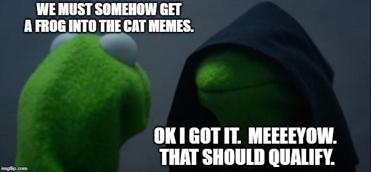 Evil Kermit Meme | WE MUST SOMEHOW GET A FROG INTO THE CAT MEMES. OK I GOT IT.  MEEEEYOW.  THAT SHOULD QUALIFY. | image tagged in memes,evil kermit,cats | made w/ Imgflip meme maker