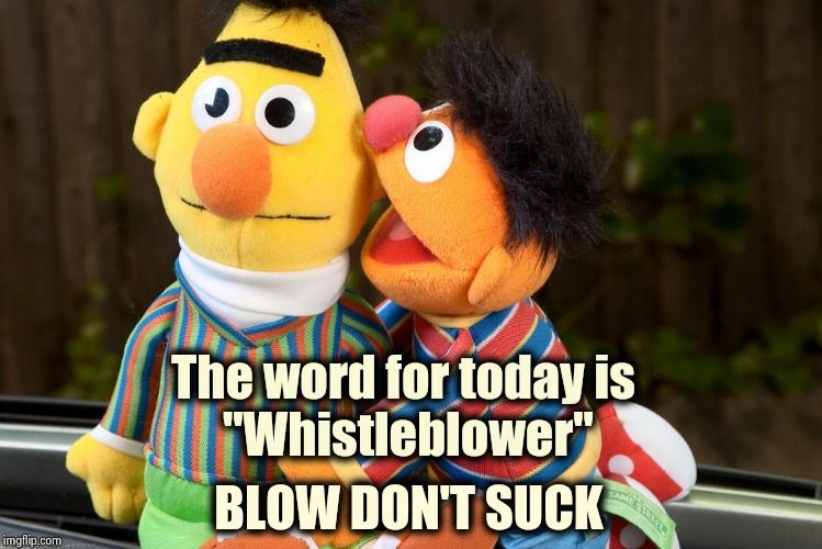 Hey Kids ! It's educational ! |  The word for today is
 "Whistleblower"; BLOW DON'T SUCK | image tagged in sesame street whisper,wow look nothing,wake me up inside,thanks for nothing,important,only fools and horses | made w/ Imgflip meme maker