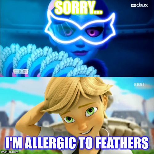 SORRY... I'M ALLERGIC TO FEATHERS | image tagged in miraculous ladybug,cat | made w/ Imgflip meme maker