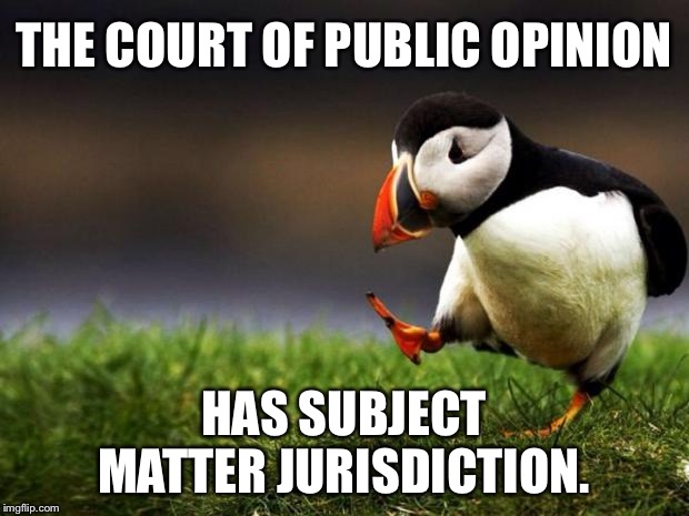 Court of public opinion has strong influence | THE COURT OF PUBLIC OPINION; HAS SUBJECT MATTER JURISDICTION. | image tagged in memes,unpopular opinion puffin,court,public,law,matter | made w/ Imgflip meme maker