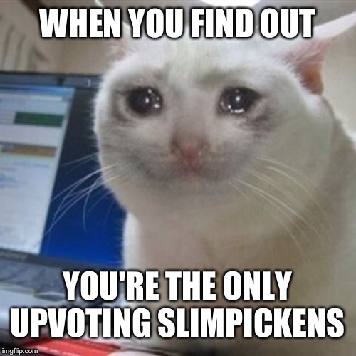 Crying cat | WHEN YOU FIND OUT; YOU'RE THE ONLY UPVOTING SLIMPICKENS | image tagged in crying cat | made w/ Imgflip meme maker
