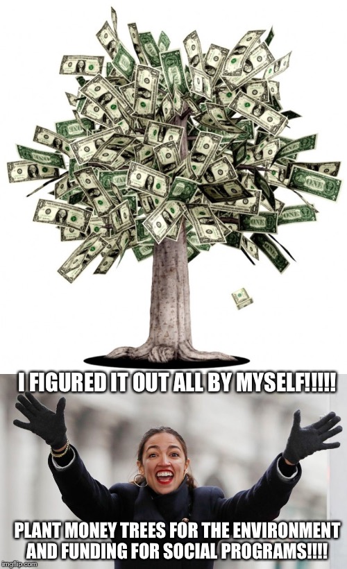 Image tagged in money tree,aoc free stuff - Imgflip