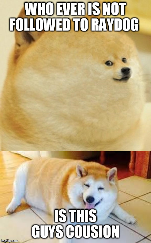 WHO EVER IS NOT FOLLOWED TO RAYDOG; IS THIS GUYS COUSION | image tagged in thicc doggo,fat doge wow | made w/ Imgflip meme maker