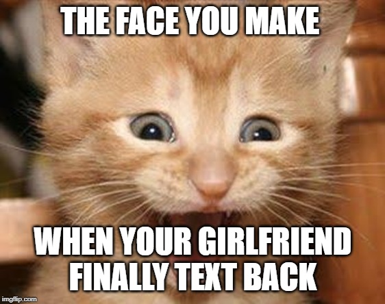 Excited Cat Meme | THE FACE YOU MAKE; WHEN YOUR GIRLFRIEND FINALLY TEXT BACK | image tagged in memes,excited cat | made w/ Imgflip meme maker
