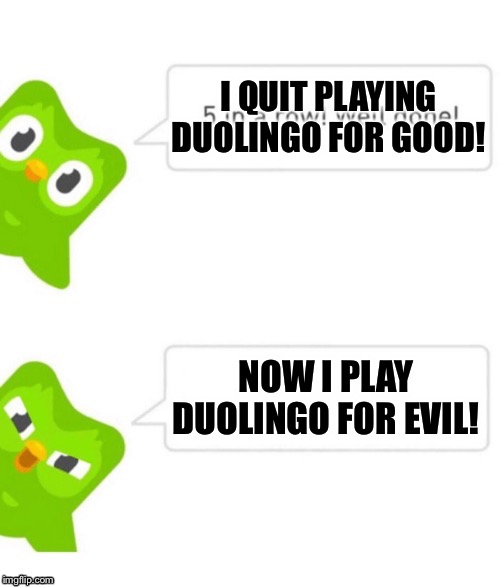 Duolingo--Memes Memes & GIFs - Imgflip