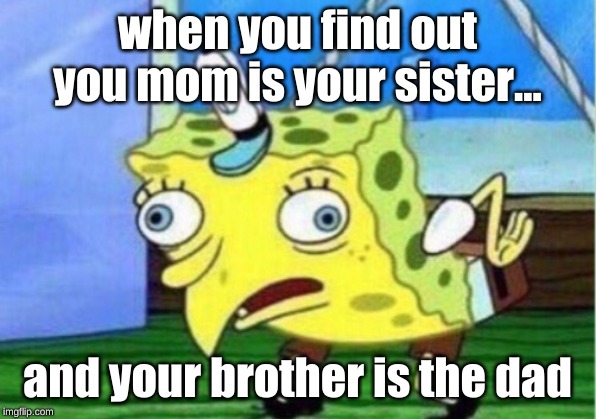 Mocking Spongebob | when you find out you mom is your sister... and your brother is the dad | image tagged in memes,mocking spongebob | made w/ Imgflip meme maker