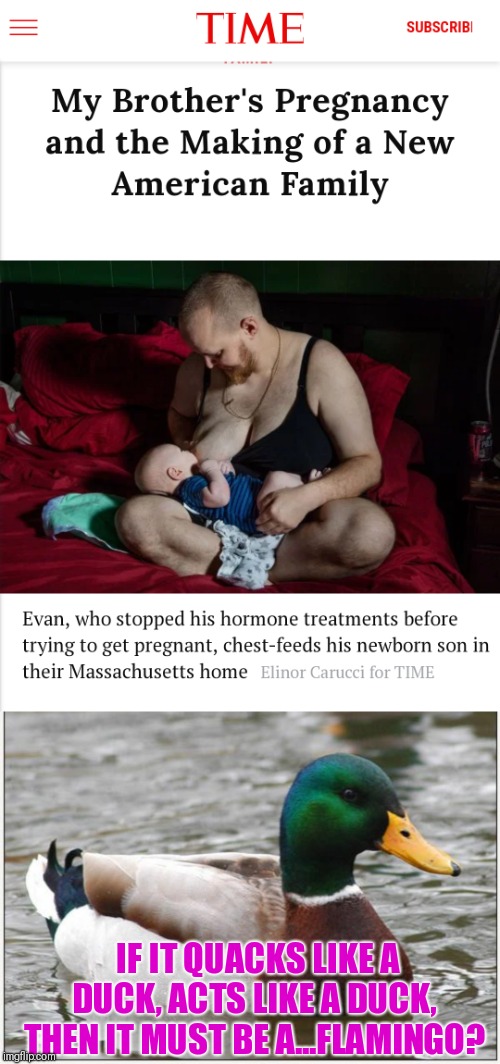Please help me understand the logic. No disrespect to trans people but if the person wanted to experience birth why change? | IF IT QUACKS LIKE A DUCK, ACTS LIKE A DUCK,  THEN IT MUST BE A...FLAMINGO? | image tagged in memes,actual advice mallard,transgender,woman,man,pregnancy | made w/ Imgflip meme maker