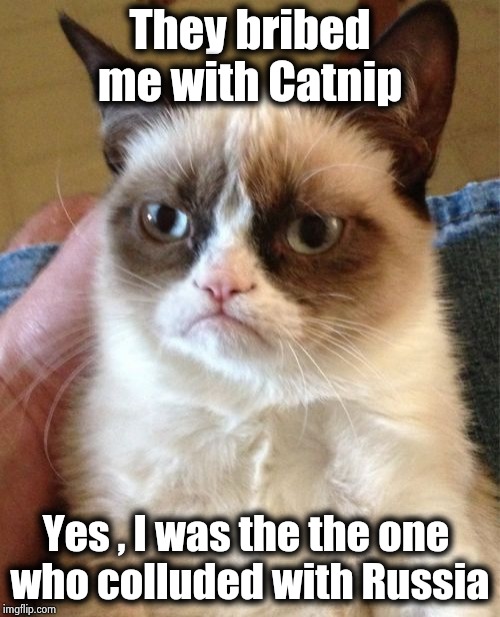 Grumpy Cat Meme | They bribed me with Catnip Yes , I was the the one 
who colluded with Russia | image tagged in memes,grumpy cat | made w/ Imgflip meme maker