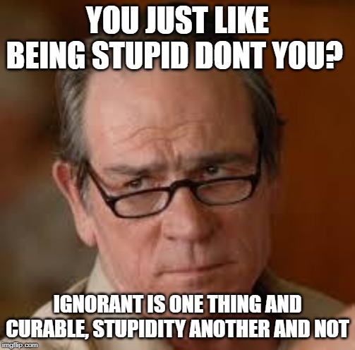 my face when someone asks a stupid question | YOU JUST LIKE BEING STUPID DONT YOU? IGNORANT IS ONE THING AND CURABLE, STUPIDITY ANOTHER AND NOT | image tagged in my face when someone asks a stupid question | made w/ Imgflip meme maker