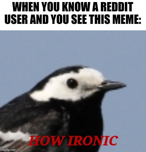 How ironic | WHEN YOU KNOW A REDDIT USER AND YOU SEE THIS MEME: | image tagged in how ironic | made w/ Imgflip meme maker