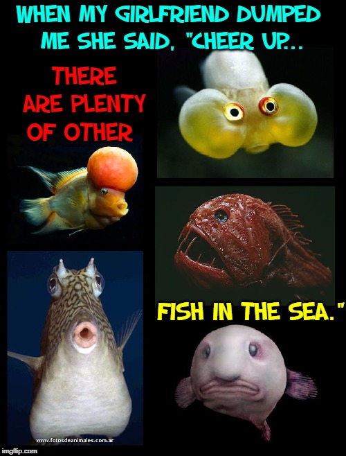 The Proverbial "Fish in the Sea" | WHEN MY GIRLFRIEND DUMPED  ME SHE SAID, "CHEER UP... THERE ARE PLENTY OF OTHER; FISH IN THE SEA." | image tagged in vince vance,fangtooth fish,school of fish,blobfish,bubble eye goldfish,flowerhorn breeding fish | made w/ Imgflip meme maker