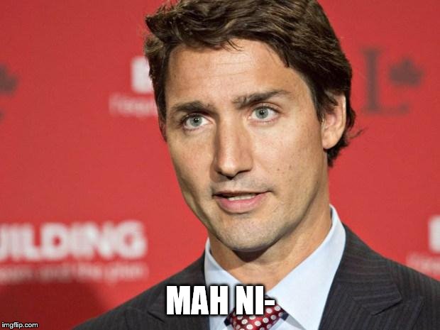 Trudeau | MAH NI- | image tagged in trudeau | made w/ Imgflip meme maker