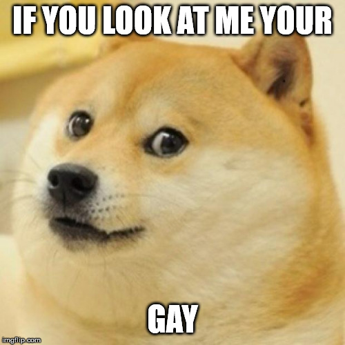 wow doge | IF YOU LOOK AT ME YOUR; GAY | image tagged in wow doge | made w/ Imgflip meme maker