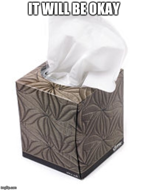 Need Some Tissues For Your Issues?!? | IT WILL BE OKAY | image tagged in need some tissues for your issues | made w/ Imgflip meme maker