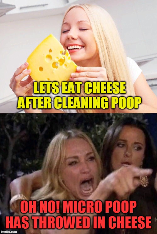 LETS EAT CHEESE AFTER CLEANING POOP OH NO! MICRO POOP HAS THROWED IN CHEESE | image tagged in woman yelling at cat | made w/ Imgflip meme maker