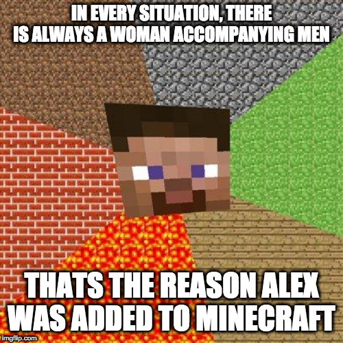 Minecraft Steve | IN EVERY SITUATION, THERE IS ALWAYS A WOMAN ACCOMPANYING MEN; THATS THE REASON ALEX WAS ADDED TO MINECRAFT | image tagged in minecraft steve | made w/ Imgflip meme maker