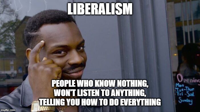 Roll Safe Think About It | LIBERALISM; PEOPLE WHO KNOW NOTHING,
WON'T LISTEN TO ANYTHING,
TELLING YOU HOW TO DO EVERYTHING | image tagged in memes,roll safe think about it | made w/ Imgflip meme maker