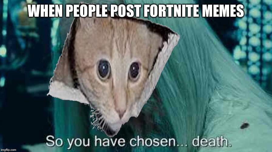 Dont | WHEN PEOPLE POST FORTNITE MEMES | image tagged in no,fortnite,too much minecraft,lol so funny,fortnite sucks | made w/ Imgflip meme maker