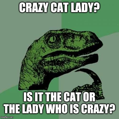 Philosoraptor Meme | CRAZY CAT LADY? IS IT THE CAT OR THE LADY WHO IS CRAZY? | image tagged in memes,philosoraptor | made w/ Imgflip meme maker