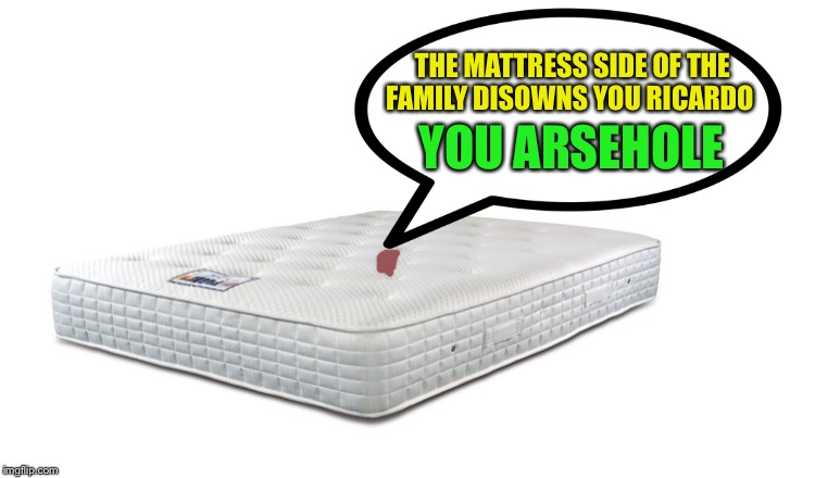 THE MATTRESS SIDE OF THE FAMILY DISOWNS YOU RICARDO YOU ARSEHOLE | made w/ Imgflip meme maker