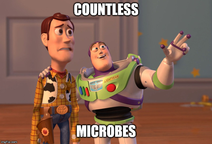 X, X Everywhere Meme | COUNTLESS MICROBES | image tagged in memes,x x everywhere | made w/ Imgflip meme maker
