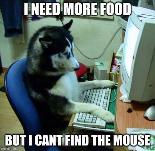 I Have No Idea What I Am Doing | I NEED MORE FOOD; BUT I CANT FIND THE MOUSE | image tagged in memes,i have no idea what i am doing | made w/ Imgflip meme maker