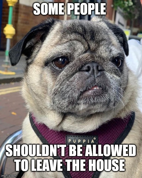 SOME PEOPLE SHOULDN'T BE ALLOWED TO LEAVE THE HOUSE | made w/ Imgflip meme maker