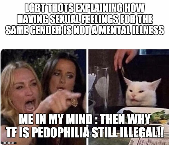 Ladies Yelling at Confused Cat | LGBT THOTS EXPLAINING HOW HAVING SEXUAL FEELINGS FOR THE SAME GENDER IS NOT A MENTAL ILLNESS; ME IN MY MIND : THEN WHY TF IS PEDOPHILIA STILL ILLEGAL!! | image tagged in ladies yelling at confused cat | made w/ Imgflip meme maker