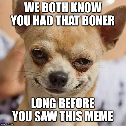 Smirking Dog | WE BOTH KNOW YOU HAD THAT BONER LONG BEFORE YOU SAW THIS MEME | image tagged in smirking dog | made w/ Imgflip meme maker